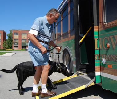 Service animal guiding an elderly man onto an accessible ramp of a public bus.